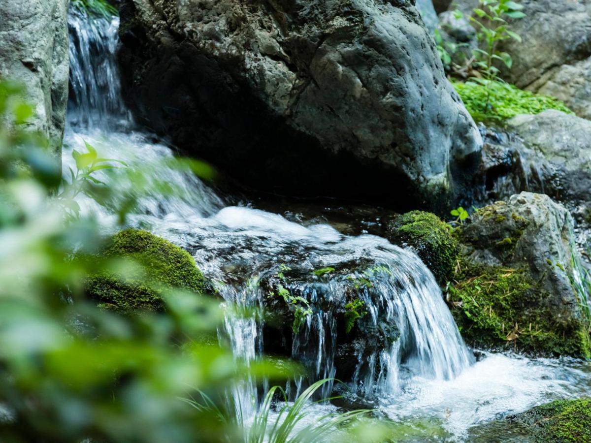 Japanese Onsen Ryokan Kohakuen 笛吹市 外观 照片